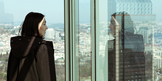 Панорамний elevator